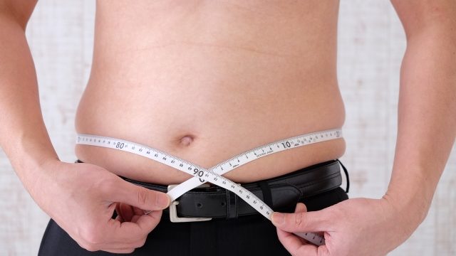 誰でも再現可能 男性が体脂肪を減らす理論を公開 体脂肪率10 は確実 Kota Blog